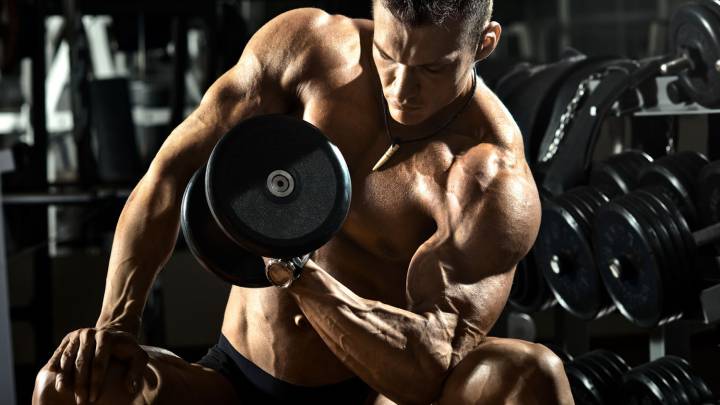 ¿Como entreno correctamente a los músculos?